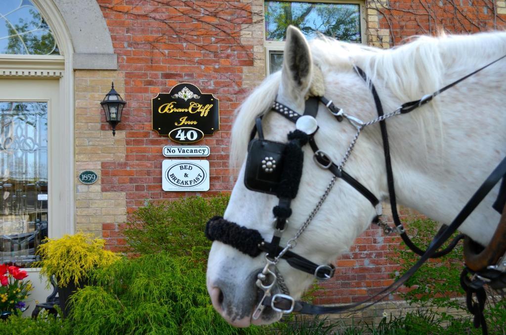 Brancliff Inn 1859 Niagara-on-the-Lake Esterno foto